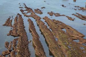 Low tide on the cost from Biarritz photo