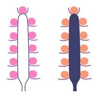 Types of flower inflorescences in plants on a stem. Flat style. Vector isolated