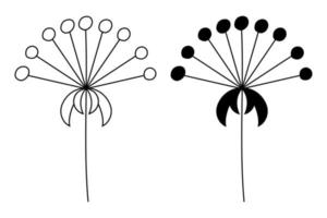 el contorno de la silueta de las inflorescencias florales en las plantas del tallo. vector aislado