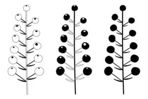 conjunto de vectores, tallo de planta con flores. estilo plano vector