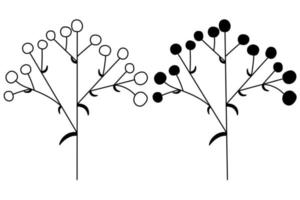 The outline of the silhouette of flower inflorescences in plants on the stem. Vector isolated