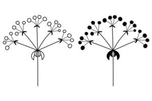 The outline of the silhouette of flower inflorescences in plants on the stem. Vector isolated