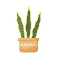 Cute Aesthetic houseplant vector