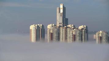 8k nevoeiro na cidade urbana moderna video