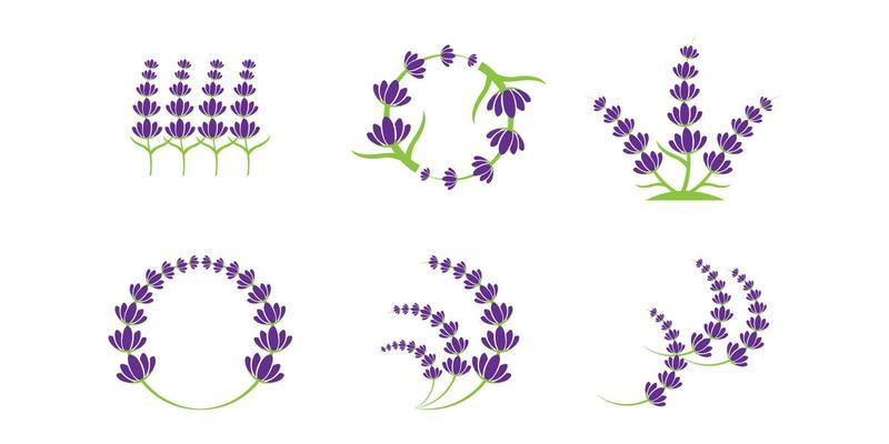 Free lavender flower - Vector Art