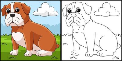 Bulldog Dog Coloring Page Colored Illustration vector