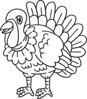 Turkey Coloring Page Isolated for Kids vector