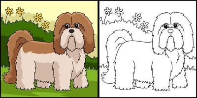 Lhasa Apso Dog Coloring Page Colored Illustration vector