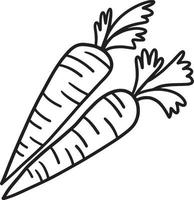 Thanksgiving Harvest Carrot Isolated Coloring vector