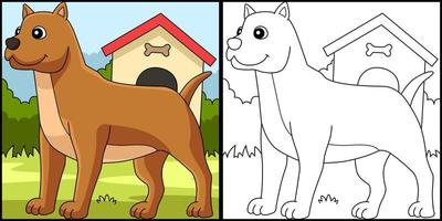 Pitbull Dog Coloring Page Colored Illustration vector