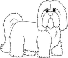 Lhasa Apso Dog Coloring Page Isolated for Kids vector