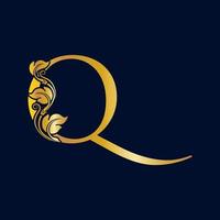 Elegant Initial Q vector