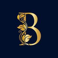 Elegant Initial B vector