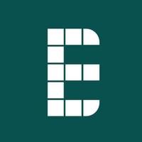 Letter E logo icon design element template. vector illustration