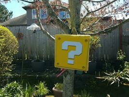 yellow question mark block pinata hanging from tree photo