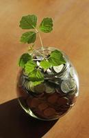planta que crece fuera de la olla con dinero - éxito empresarial sostenible foto