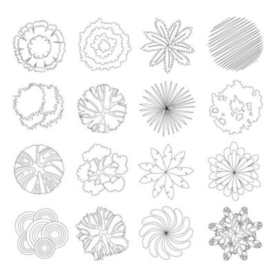 Set of Tree Plan Outline