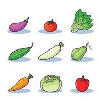 hand drawn vegetables collection 1 vector