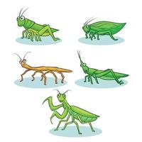 hand drawn grasshoppers collection 1 vector