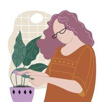 Houseplants. The girl rubs the leaves of the plant. Vector image.