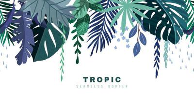 borde tropical sin costuras con monstera azul y hojas de palma vector