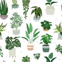 Indoor plants seamless pattern, hand drawn flat vector