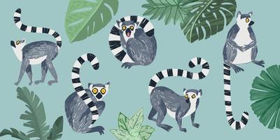 Set of five lemurs and tropical leaves vector