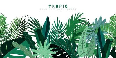 Tropical seamless border, monstera palm philodendron leaves vector