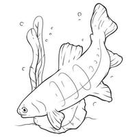 Sea Life Coloring book page Underwater. Marine vector motif. Doodle of the underwater world, sea, ocean, river. Fish and underwater plants, Monochrome. Aquariums.