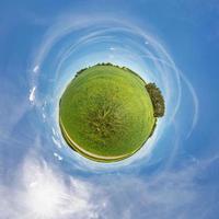 Little planet.  Spherical view  in a field near a road with rapeseed in sunny day photo