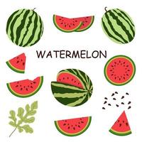 Set of vector illustrations of flat watermelon. Whole watermelon, cut watermelon, watermelon slices