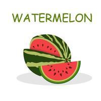 Set of vector illustrations of flat watermelon.  cut watermelon, watermelon slices,