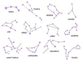 Constellations, collection of 12 zodiac signs with names.  constellations purple stars vector