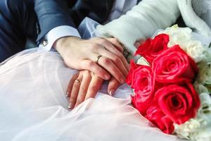 rings on the hands of newly-married couple photo