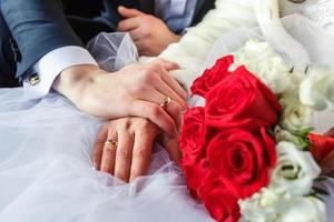 rings on the hands of newly-married couple photo