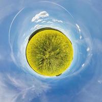 Little planet.  Spherical view  in a field near a road with rapeseed in sunny day photo