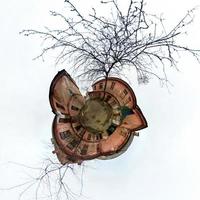 Little planet.  Spherical view of old abandoned courtyard with tree photo