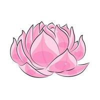 Water lily flower, in cartoon linear style, textile print, design element , vector illustration