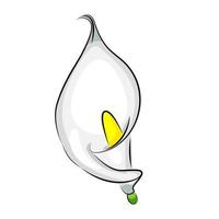 flor de calla, en estilo lineal de dibujos animados, estampado textil, elemento de diseño, ilustración vectorial vector