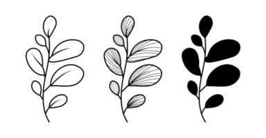 Simple outline herb, floral icon set isolated on white background. Vector hand drawn sketch, logo design element. Line art collection. Elegant botanical eucalyptus branch with leaves.