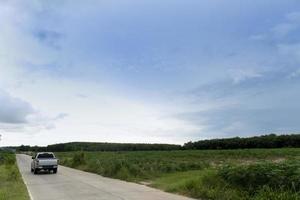 Road ahead of the concrete road. Beside with green grass. and Young seedlings of cassava fields and rubber trees. With blurred of pickup car on the road. Under the sky. photo