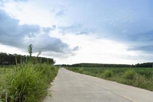 Road ahead of the concrete road. Beside with green grass. and Young seedlings of cassava fields and rubber trees. Under the sky. photo