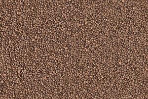 top view of coffee beans photo