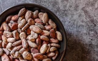 granos de cacao secos marrones en un bol sobre un fondo gris foto