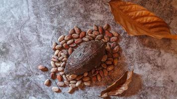 Brown Dried Cocoa Pods with Dried Cocoa Beans on a gray background photo