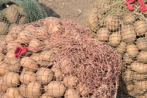 potatoes in the bags on the bed photo