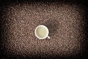 top view of coffee beans photo