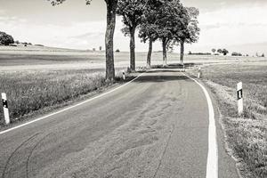 empty asphalt road in a green field against trees photo