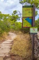 mallorca baleares españa 2018 sendero natural para caminar en forest parc natural de mondrago mallorca. foto