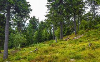 Panorama view to mountain landscape of Wurmberg Braunlage Harz Germany. photo